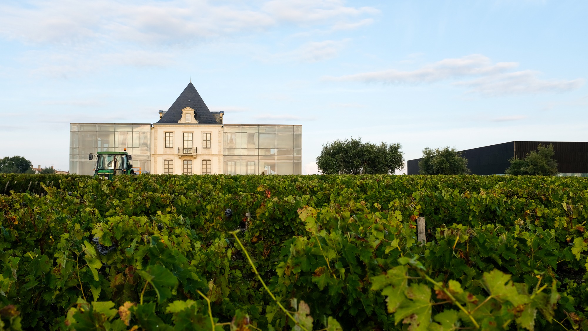 La viticulture, un rempart contre l’exclusion? - Chateau Pedesclaux