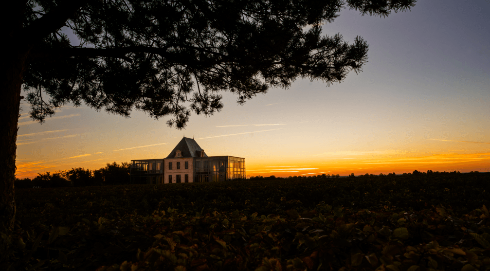 Château Pédesclaux 2023 est désormais disponible - Chateau Pedesclaux